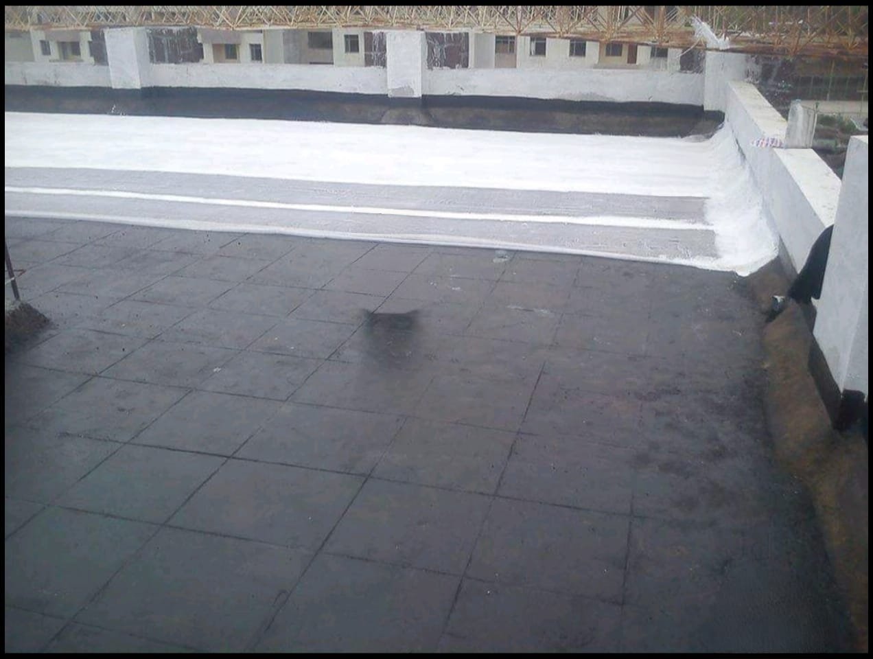 WhatsApp Image 2025-11-08 at 2.59.27 PM
